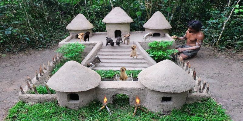 Rescue Abandoned Puppies Building Mud Dogs House With Swimming Pool