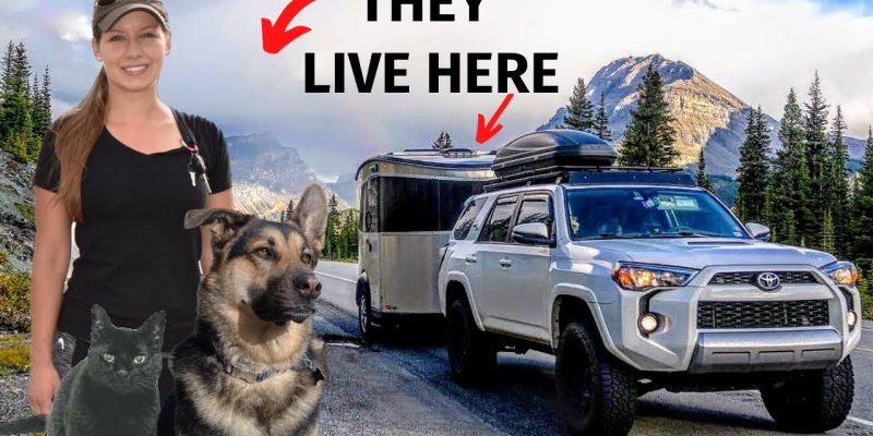 RV Tour ???? SOLO FEMALE Full Time RV Living in an Airstream Basecamp ???? with a Dog and Cat