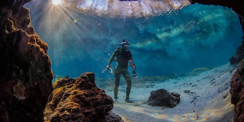Found Crystal Clear Swimming Spot in Florida! (Beware Alligators)