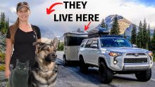 RV Tour ???? SOLO FEMALE Full Time RV Living in an Airstream Basecamp ???? with a Dog and Cat
