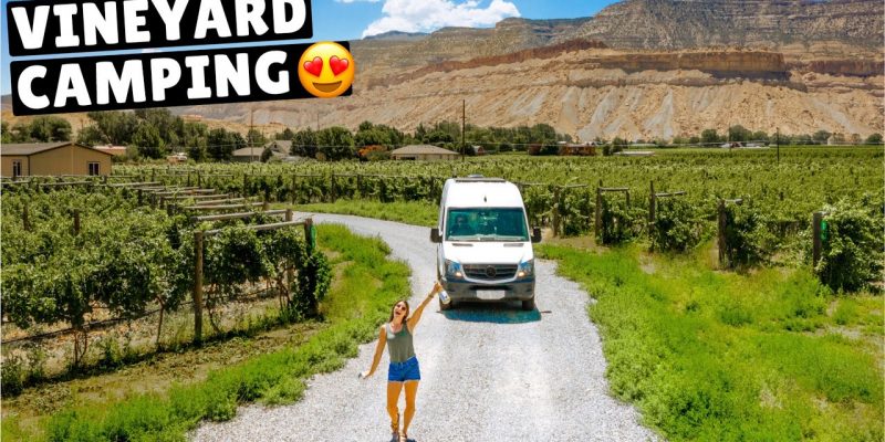 We Discovered the SECRET to VAN LIFE!